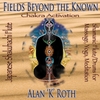 Alan K Roth: Fields Beyond the Known