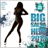 Various Artists: Big Salsa Hits 2013
