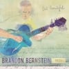 The Brandon Bernstein Trio: But Beautiful