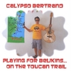 Calypso Bertrand: Playing For Belkins...
                                    On the Toucan Trail