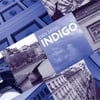 Dan Siegel: Indigo