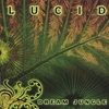 Dream Jungle: Lucid