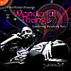 Elliot Holden: Wonderful Thangs Feat. Salakida - Single