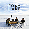 Foam Lake: Force and Matter