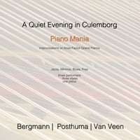 Marcel Bergmann: A Quiet Evening in Culemborg
