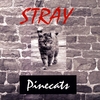 Pinecats: Stray