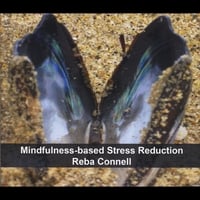 Reba Connell: Mindfulness-Based Stress Reduction