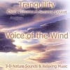 Suzanne Doucet, Chuck Plaisance: Voice Of The Wind (TRANQUILITY SERIES)
