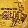 Shadowyze: What Would Crazy Horse Say