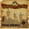 Sibling Harmony: Treasure Hunters