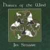 Jim Stewart: Horses of the Wind