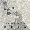 Symphony Novel: Aria