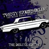 Various Artists: Twenty Stories Below (The Blind Melon Tribute Album)