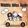 The Wildlife Band: Wildlife Rides Again