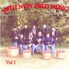 119TH NYSV FIELD MUSIC: 119th NYSV Field Music, Vol 1