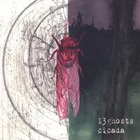 13ghosts : Cicada