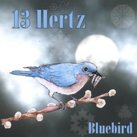 13 Hertz : Bluebird
