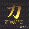 21 WATTS: Quimica
