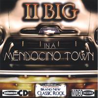 II Big : In A Mendocino Town