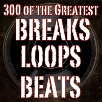 300 Loops4u : 300 of the Greatest Breaks, Drum Loops and Beats