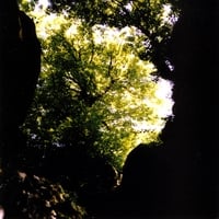 Kirk Knuffke, Federico Ughi, Chris Welcome : Garden Of Gifts