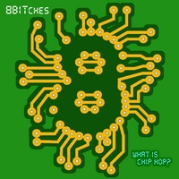 8BITCHES: What is Chip Hop? (USB FLASH DRIVE/DIGITAL)