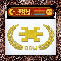8-BIT WEAPON: Confidential 2.0