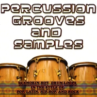 99 Smokin Hot Drum Loops, Beats and Samples : Percussion Grooves in the Style of Pop , Latin, Hip Hop and Rock