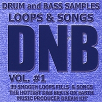 99 Smokin Hot Drum Loops, Beats, Fills and Songs : DNB, Vol.1 Beats, Bass, Keys & Instrumentals