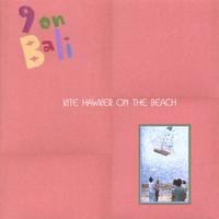 9 on Bali : Kite Hawker on the Beach