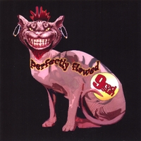 9 RED SUN: Perfectly Flawed