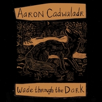Aaron Cadwaladr : Wade through the Dark