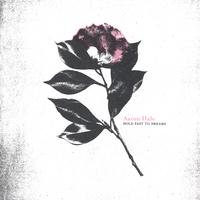 AARON HALE: Hold Fast to Dreams