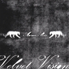 AARON RICE: Velvet Vision