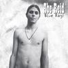 ABE REID: Blue Rags
