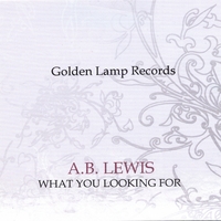 A.B.LEWIS: What You Looking For