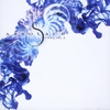 Absolace: Fractals
