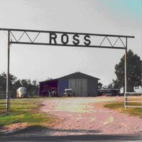 Acoustic Ross : News From Around the Bend