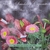 ADAM ARES: Flowers Smoking Cigarettes