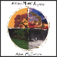 Adam McIntyre : Nothing Means Anything