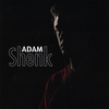 Adam Shenk: If Ya Like This