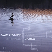 Adam Shulman : Patterns of Change