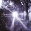 ADAM SWINK: Not What It Seems