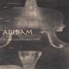 ADIDAM: All Day I Dream About Music