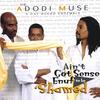THE ADODI MUSE: A GAY NEGRO ENSEMBLE: Ain't Got Sense Enuf To Be 'Shamed