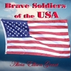 ALICIA ELLISON GRANT: Brave Soldiers of the USA