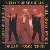 A FLOCK OF SEAGULLS: Dream Come True