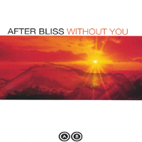 After Bliss : Without You