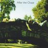 AFTER THE CHASE: After the Chase