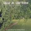 COMPOSITIONS, CARMON MOON; PIANO, DAVID HUNTSINGER: Music In The Wind